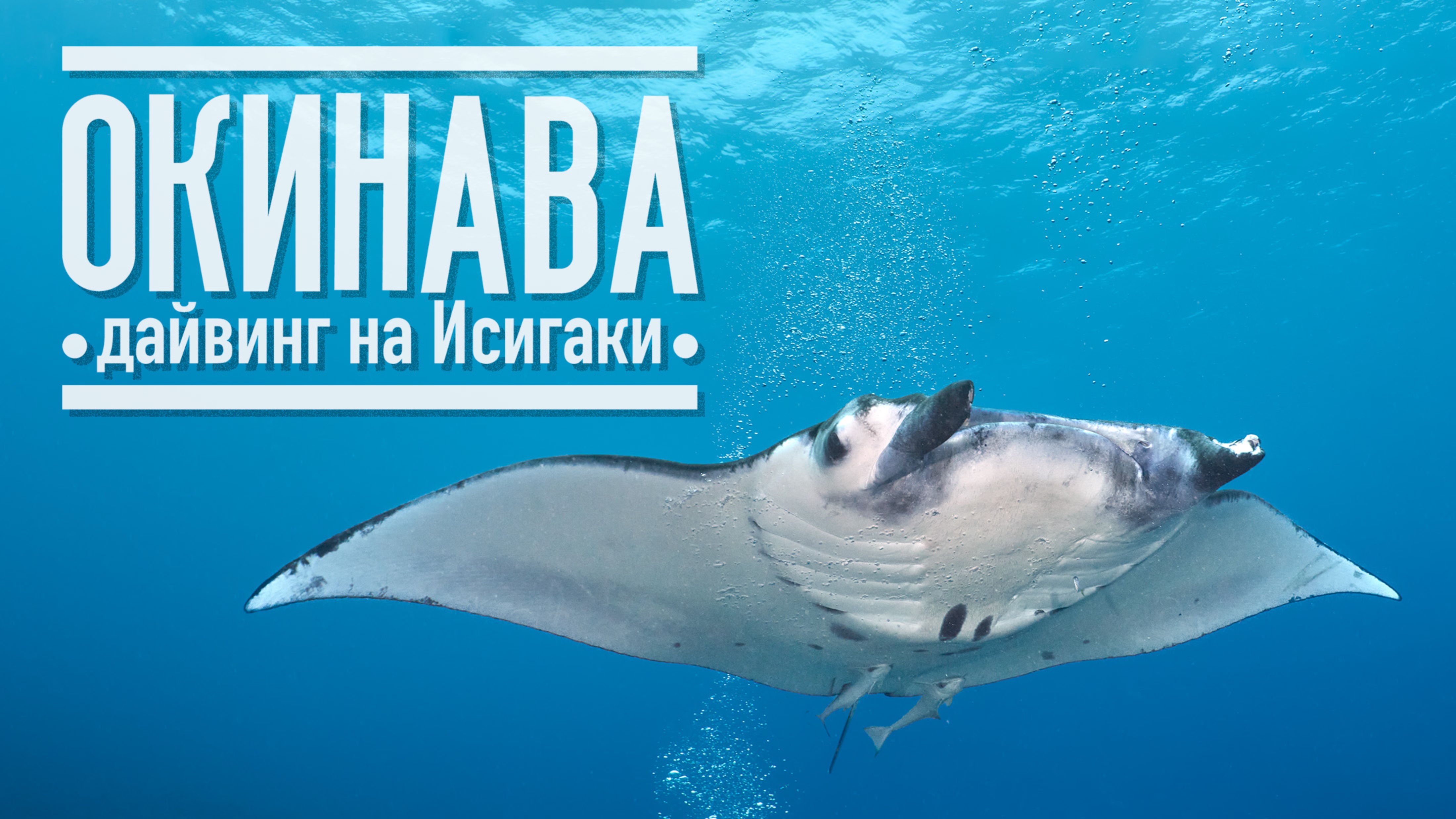 Дайвинг на Исигаки смотреть онлайн