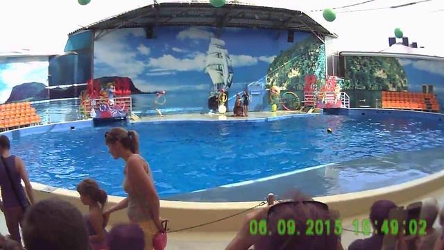 выступление моржа смотреть онлайн