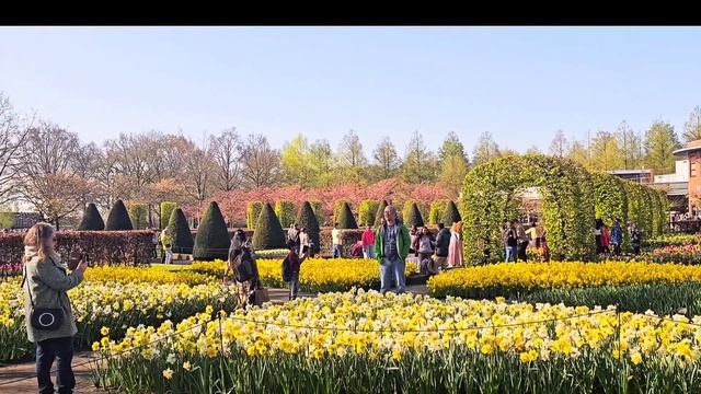 🌷Keukenhof 🌷Holland 🌷Парк тюльпанов 🌷2025