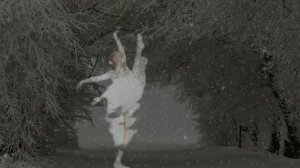 Павел Кашин - Снежинка