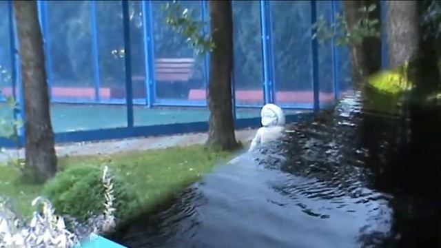 Игра в квест или корпоративка на природе смотреть онлайн