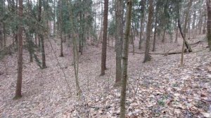 Мотоблок с адаптером КАМАМОТ идет в гору. Полный приво