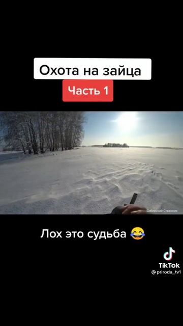 приколы на охоте смотреть онлайн