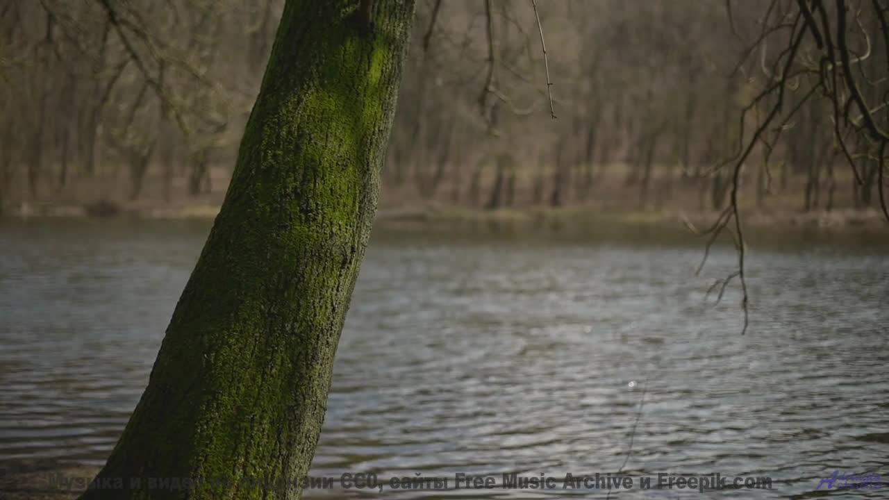 Кадры, которые заставят вас усомниться в своих глазах! - WitchCraft -- HoliznaCC0 -- Orphaned Media