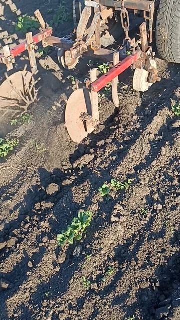 минитрактор с КПП ВАЗ 2109 , Первая борозда, проба культиватора