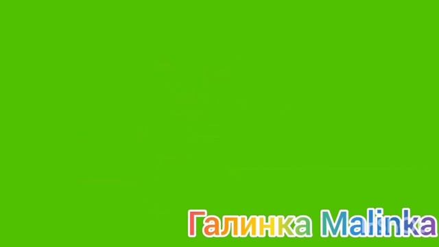 Big Big Family In The USA /Развод /Делят имущество /Биг Биг Фэмэли /Обзор /Жизнь в Америке /США Vlo
