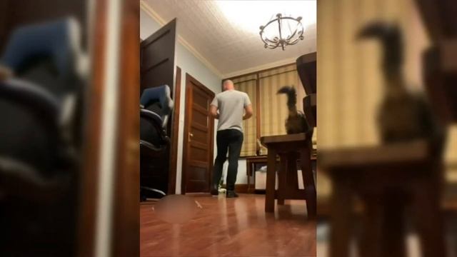 Смешное видео!!! 3 минуты смеха, засмеялся - подписался, тест на психику, Лучшие приколы 2021 смотреть онлайн