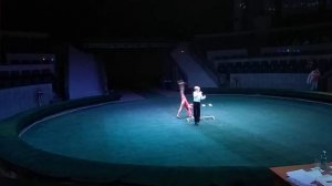 Цирк гладиаторы