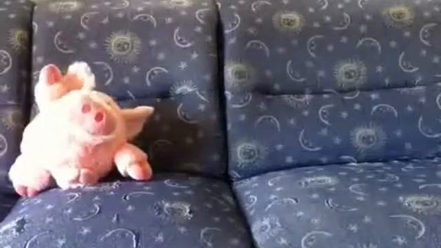 Приключение поросенка смотреть онлайн