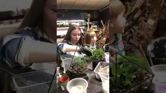 FLO флорариумы в прямом эфире! Денежные медитации, мосс?