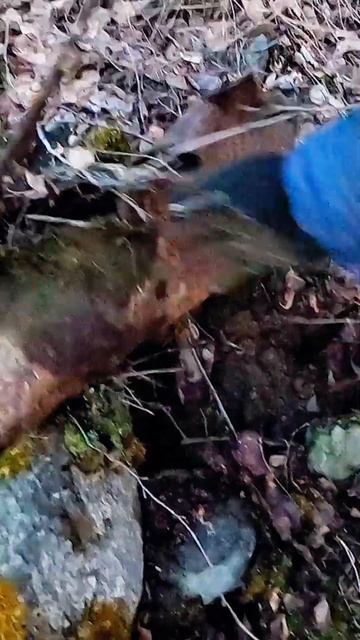 Бонус в конце копа! смотреть онлайн