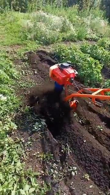 Советский мотокультиватор который был с двигателем Д? смотреть онлайн