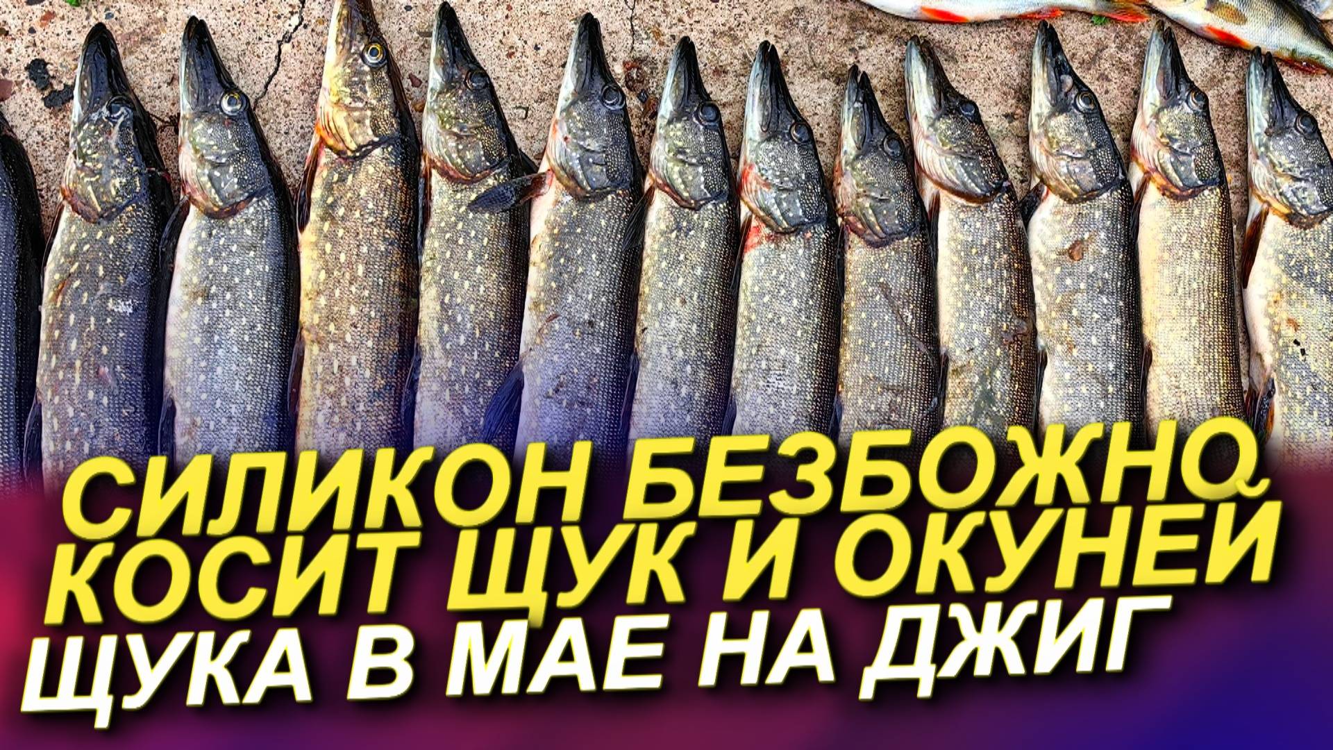ЩУКА ДУРЕЕТ С ЭТОГО СИЛИКОНА! РЫБАЛКА НА ЩУКУ В МАЕ! ЛОВЛЯ ЩУКИ НА ДЖИ Г ВЕСНОЙ! смотреть онлайн