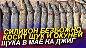 ЩУКА ДУРЕЕТ С ЭТОГО СИЛИКОНА! РЫБАЛКА НА ЩУКУ В МАЕ! ЛОВЛЯ ЩУКИ НА ДЖИ Г ВЕСНОЙ!