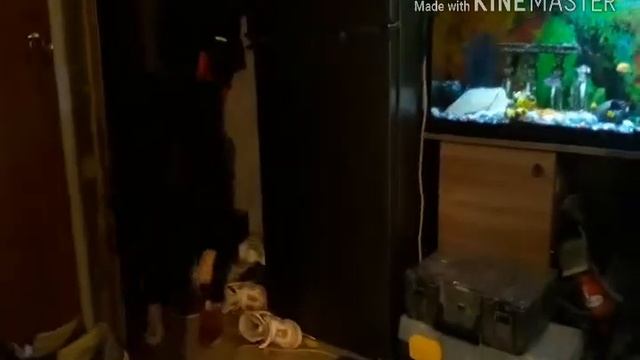 ТИПЫ ЛЮДЕЙ С УТРА | видео без Ирины |