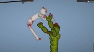 Сражение ЗЕЛЕНЫХ против белых