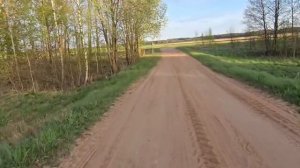 Первый выезд на новой Progasi Smart Max 150. Погналась собака