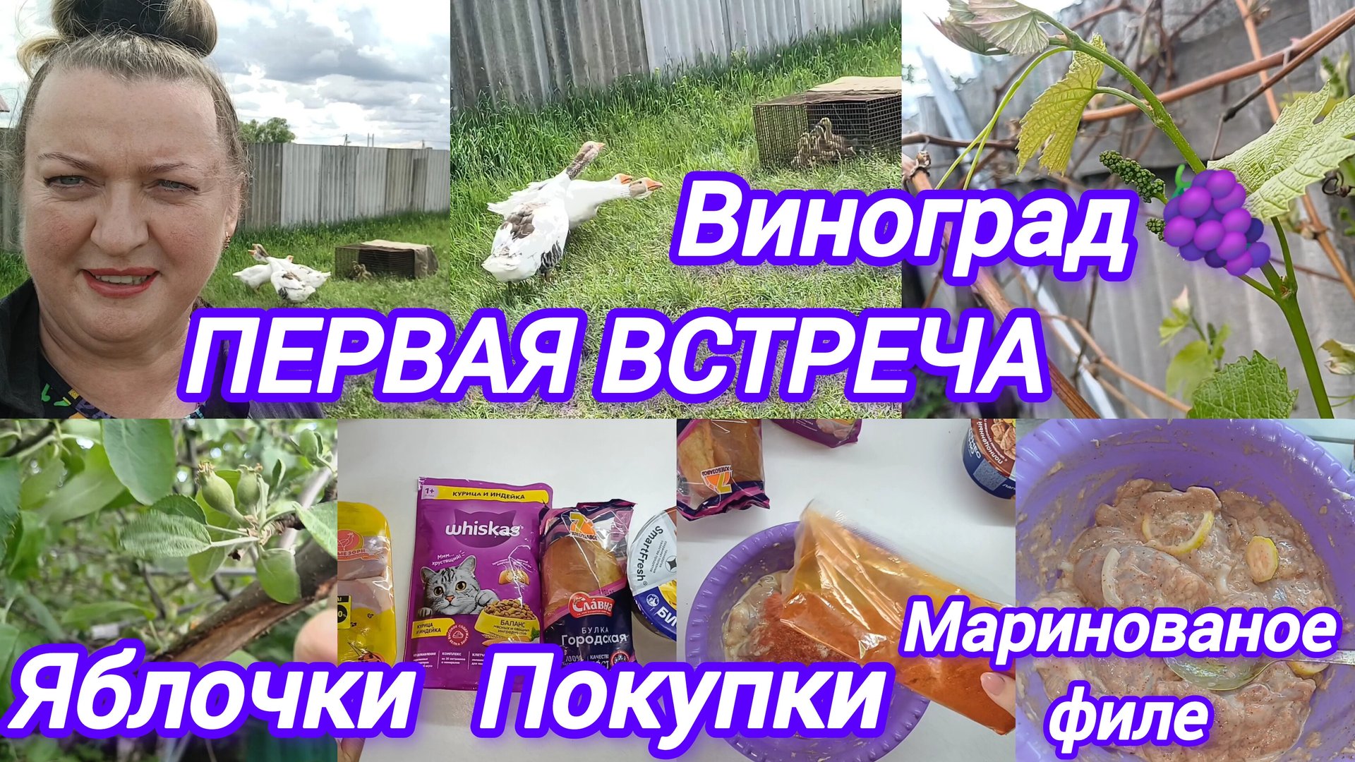 ПЕРВАЯ ВСТРЕЧА. ЗНАКОМСТВО. ОБРАБОТАЛА ОТ ТЛИ. ПОКУПКИ. МАРИНОВАННОЕ ФИЛЕ смотреть онлайн