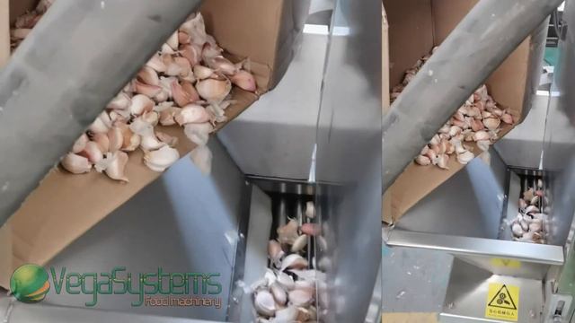 Машина для очистки чеснока - Vega Garlic Peeler Н500 | Очистка от смотреть онлайн