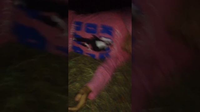 Коломийцев хватит бухать!!! смотреть онлайн