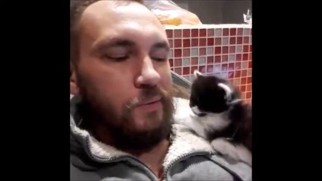 СБОРНИК ГИФ ВИДЕО 2017 смотреть онлайн