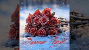 Миролюбова ❄️🌹Зимние розы