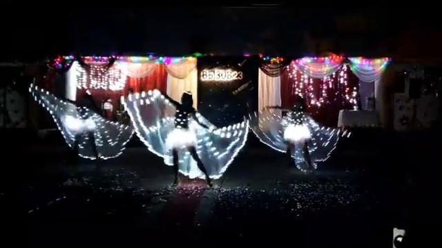 Светодиодные крылья Шоу-балет Beauty