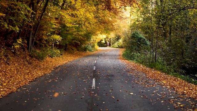 Кавер,cover Samchuk-Листопадами#samchuk#Ukraine#Україньский реп.