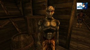 Maddyson - играет в The Elder Scrolls III Morrowind #1