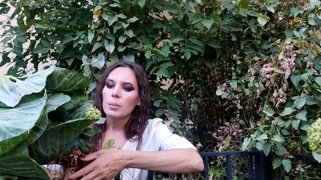 USOVA. SIGIMUR. Капустушка (отрывок)