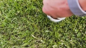 Рыбалка на пареную пшеницу. Как приготовить , чтобы кл?