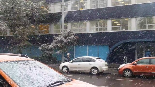Четверть из Москвы. Хлопья с неба.