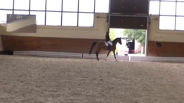 Мария и Боливар ППЮ смотреть онлайн