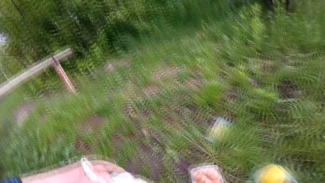 На что готов мужик ради денег. 10 киви 1 грейпфрут и 10 яиц разбил на голове за 200 рублей смотреть онлайн