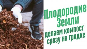 Как сделать компост?