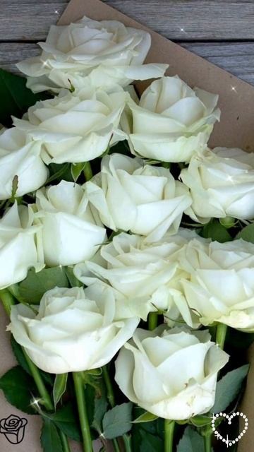 Сестра, с днём рождения! #открытка смотреть онлайн