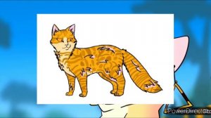 Топ нелюбимых персонажей | Коты-воители | 2 часть