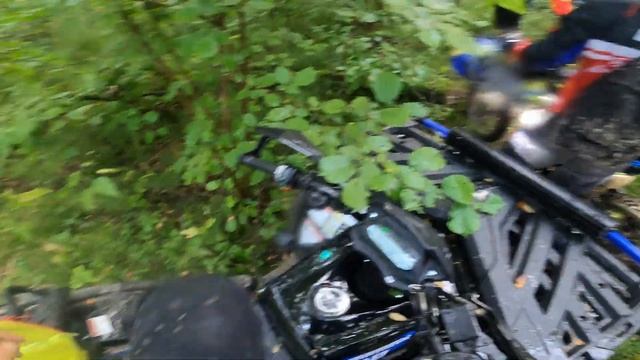 ОЧЕНЬ РАЗНОСТОРОННИЙ И НЕДООЦЕНЁННЫЙ ! | ОБЗОР Sharmax 650 !