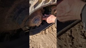 Натяжение гусеницы. Экскаватор Rippa R-319.