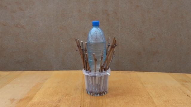 Покажу як розмножити виноград максимально просто та л смотреть онлайн