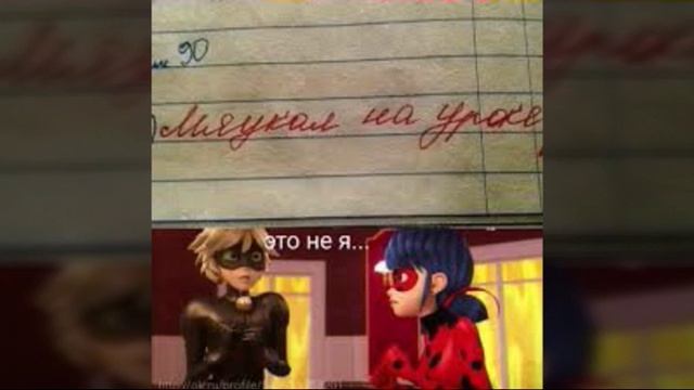 Обещенные приколы Леди баг и Супер кот смотреть онлайн