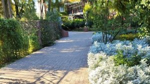 Сочи Лазаревское поесть дёшево и вкусно