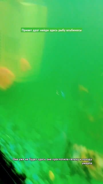 посмотри где я поправляю градусник там должна быть же? смотреть онлайн