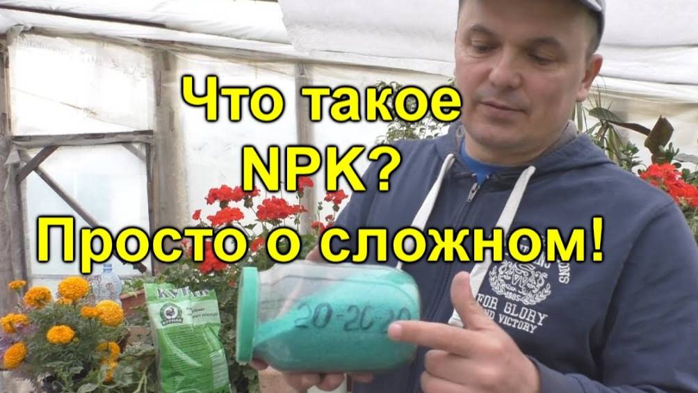 💥 Что такое NPK? Разбираем «удобрялки» без сложных терминов! смотреть онлайн