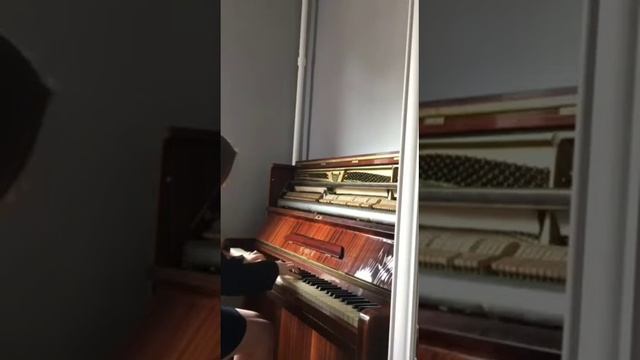 Ирина Витушкина. ХТК. Том 1. Прелюдия и Фуга ре минор смотреть онлайн