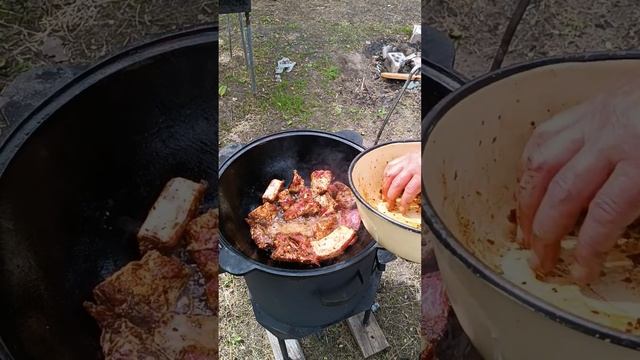 Картошка с рёбрышками #12