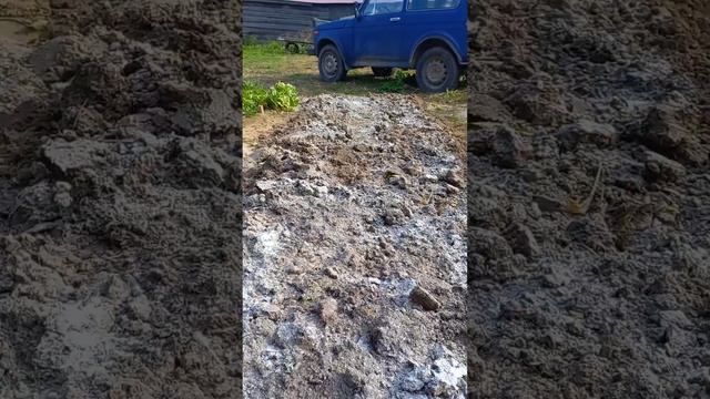 Посадка озимого чеснока🧄🧄🧄с душой)) смотреть онлайн