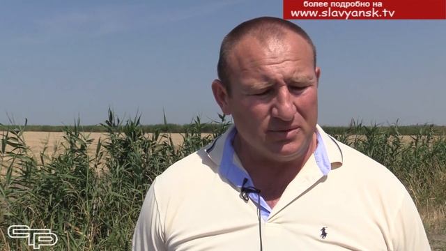 Прогнозы на урожай прекрасные