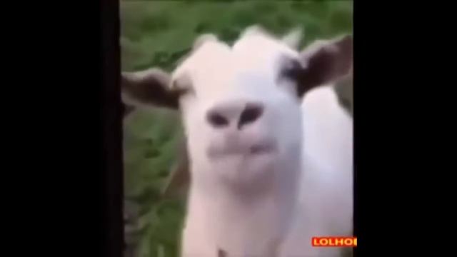 ПРИКОЛЫ ДО СЛЕЗ #НЕ ДЕТСКИЕ ПРИКОЛЫ, смотреть онлайн