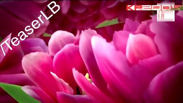 Сборник рекламных роликов конфет «Коркунов» смотреть онлайн